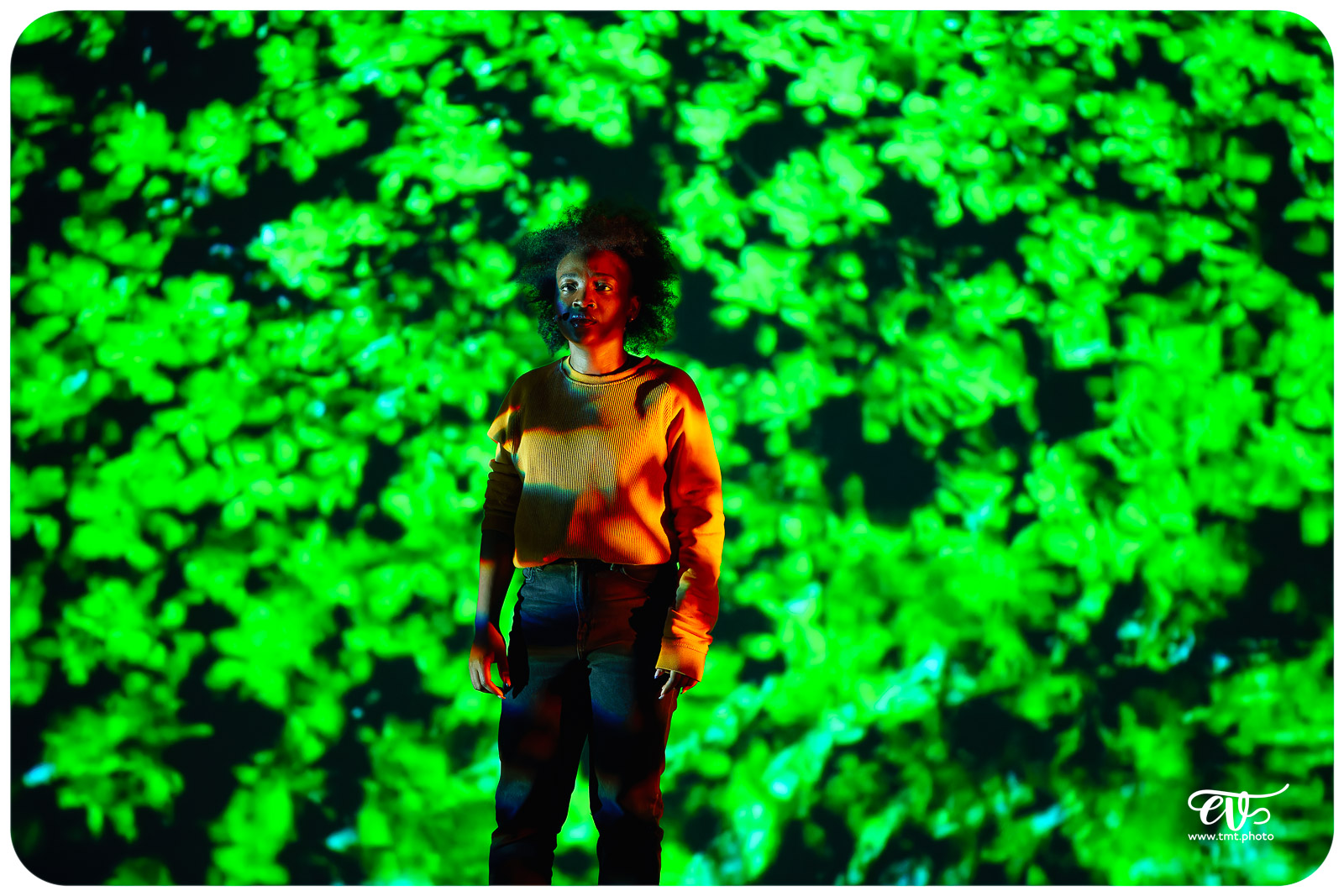 INCANDESCENCES (MADANI CIE)